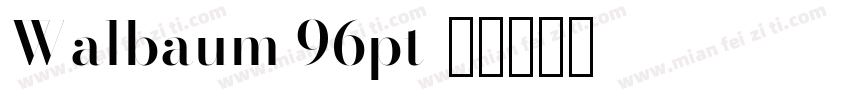 Walbaum 96pt字体转换